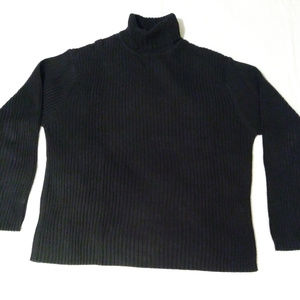 Gap Turtleneck Sweater